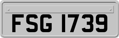 FSG1739