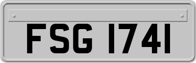 FSG1741