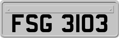 FSG3103