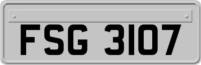 FSG3107