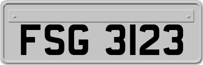 FSG3123