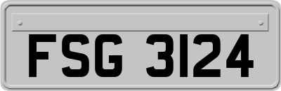 FSG3124