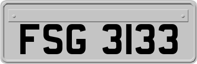 FSG3133