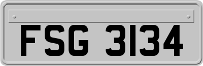 FSG3134