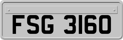 FSG3160