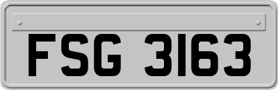 FSG3163