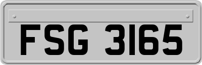 FSG3165