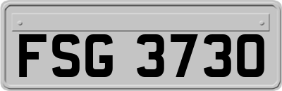 FSG3730