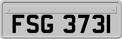 FSG3731