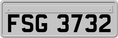 FSG3732