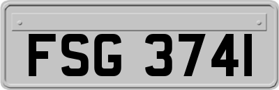 FSG3741