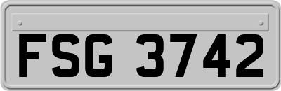 FSG3742