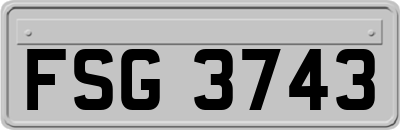 FSG3743