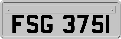 FSG3751