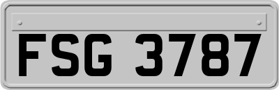 FSG3787