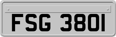 FSG3801