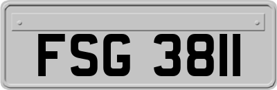 FSG3811