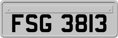 FSG3813