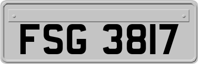 FSG3817