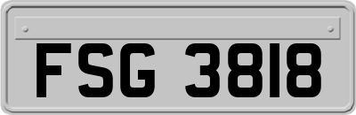 FSG3818