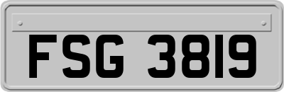 FSG3819