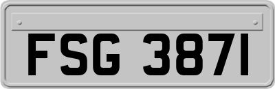 FSG3871