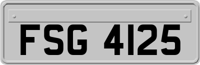 FSG4125