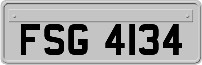 FSG4134