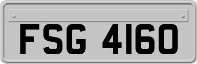 FSG4160