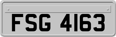 FSG4163