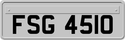 FSG4510