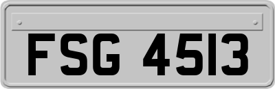 FSG4513