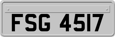 FSG4517