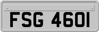 FSG4601