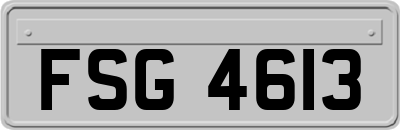 FSG4613