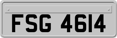 FSG4614