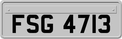 FSG4713