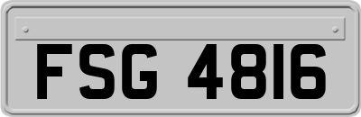 FSG4816
