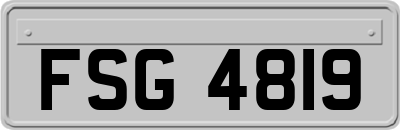FSG4819