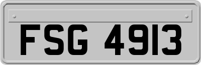FSG4913