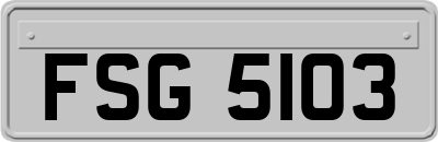 FSG5103
