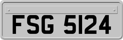 FSG5124