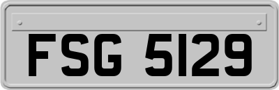 FSG5129