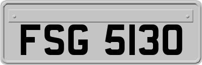 FSG5130