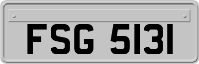 FSG5131