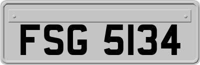 FSG5134