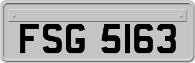 FSG5163