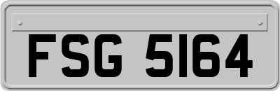 FSG5164
