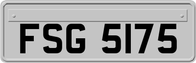 FSG5175