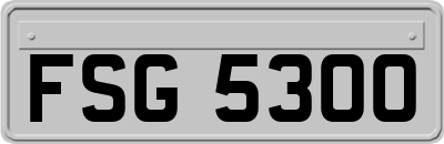 FSG5300